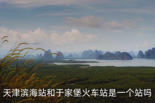 天津濱海站和于家堡火車站是一個站嗎