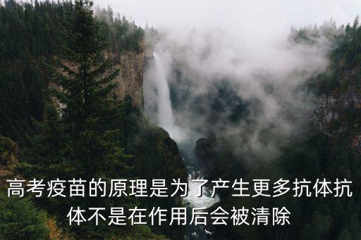 高考疫苗的原理是為了產生更多抗體抗體不是在作用后會被清除
