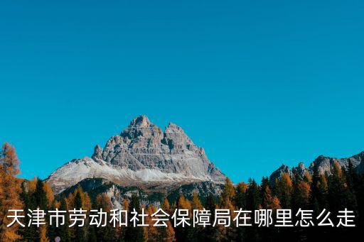 天津市勞動(dòng)和社會(huì)保障局在哪里怎么走