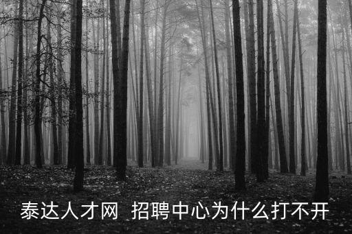泰達人才網  招聘中心為什么打不開