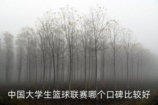 中國大學生籃球聯賽哪個口碑比較好