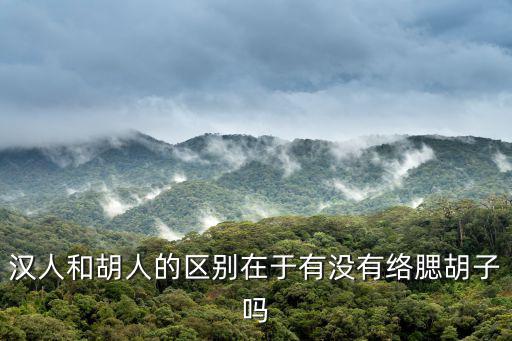 漢人和胡人的區別在于有沒有絡腮胡子嗎
