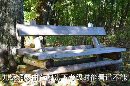 九級鋼琴曲在陽光下考級時能看譜不能
