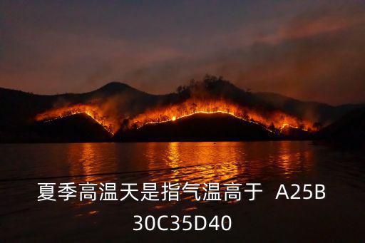 夏季高溫天是指氣溫高于  A25B30C35D40