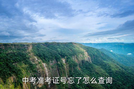 中考準考證號忘了怎么查詢