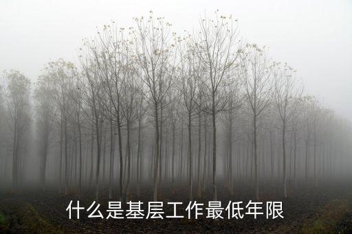 基層工作最低年限，基層工作 最低年限 是什么意思