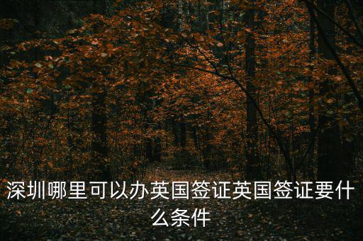 深圳哪里可以辦英國簽證英國簽證要什么條件