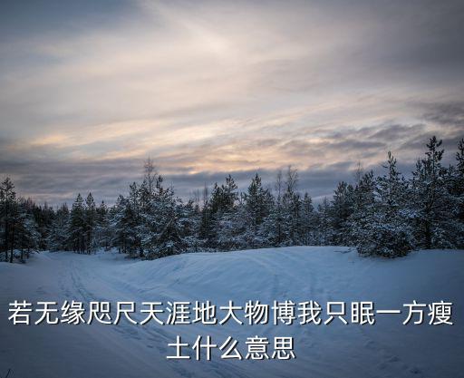 若無緣咫尺天涯地大物博我只眠一方瘦土什么意思