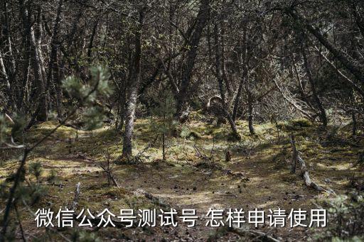 微信測試公眾號，微信公眾號測試號 怎樣申請使用