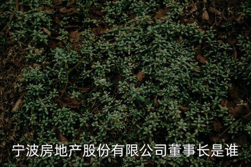 寧波房地產(chǎn)股份有限公司董事長是誰