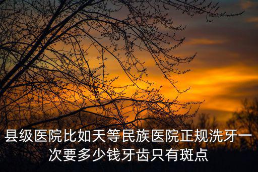 縣級醫院比如天等民族醫院正規洗牙一次要多少錢牙齒只有斑點