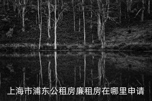 上海市浦東公租房廉租房在哪里申請(qǐng)