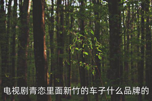 青戀，電視劇青戀里面新竹的車子什么品牌的