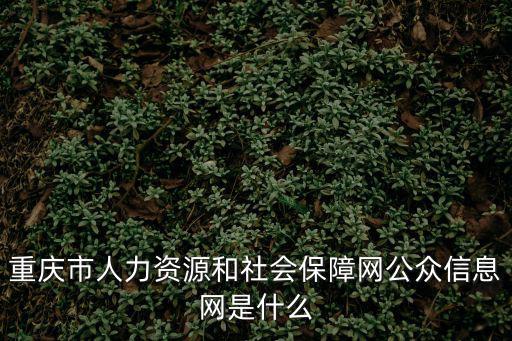 重慶市人力資源和社會保障網公眾信息網是什么