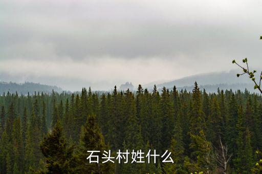 石頭村，石頭村姓什么