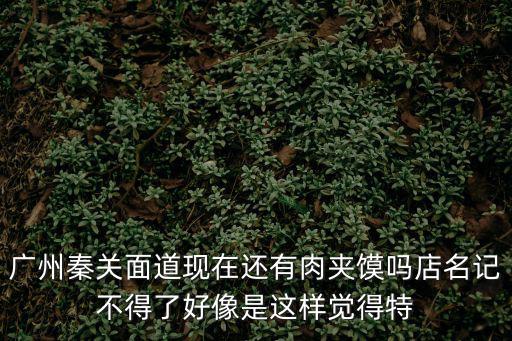 廣州秦關(guān)面道現(xiàn)在還有肉夾饃嗎店名記不得了好像是這樣覺(jué)得特