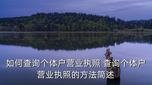 如何查詢個體戶營業執照 查詢個體戶營業執照的方法簡述