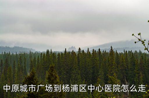 中原城市廣場，民星路到中原城市廣場怎么走