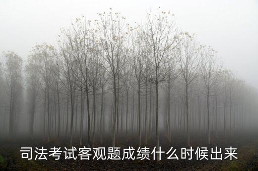 司法考試客觀題成績什么時候出來