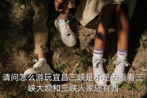 請問怎么游玩宜昌三峽是不是去看看三峽大壩和三峽人家還有西