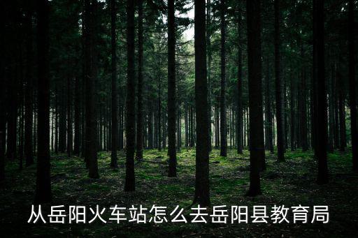 從岳陽火車站怎么去岳陽縣教育局
