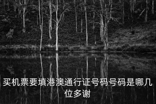 買機票要填港澳通行證號碼號碼是哪幾位多謝