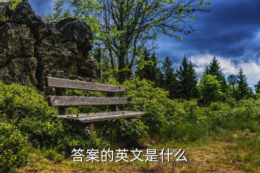 答案的英文是什么