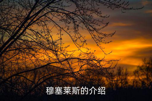 穆塞萊斯的介紹