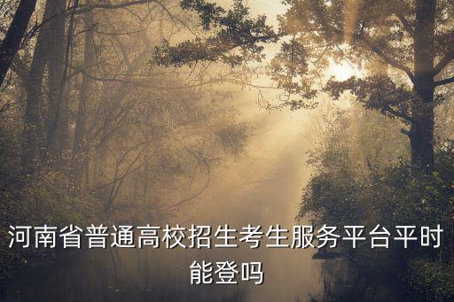 河南省普通高校招生考生服務平臺平時能登嗎