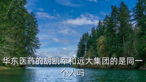 華東醫藥的胡凱軍和遠大集團的是同一個人嗎