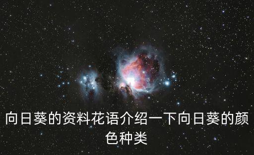 向日葵簡介，向日葵的資料花語介紹一下向日葵的顏色種類