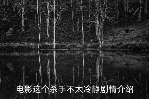 這個殺手不太冷靜簡介，這個殺手不太冷的男主和女主都是誰