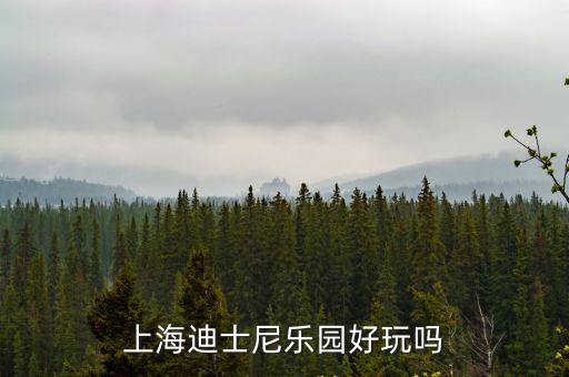 上海迪士尼樂園好玩嗎