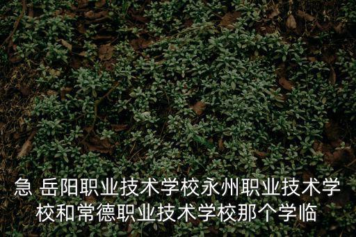 急 岳陽職業技術學校永州職業技術學校和常德職業技術學校那個學臨