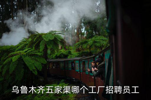 烏魯木齊五家渠哪個工廠招聘員工