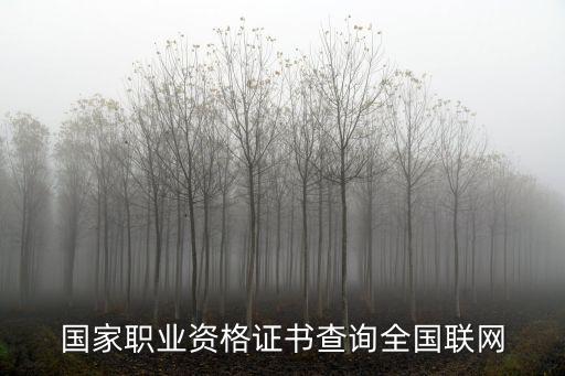 國家職業(yè)資格證書查詢?nèi)珖?lián)網(wǎng)