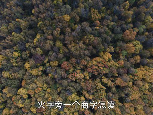 火加商，火字旁一個商字怎讀