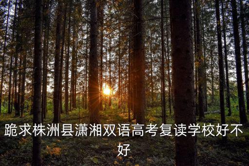 跪求株洲縣瀟湘雙語高考復讀學校好不好