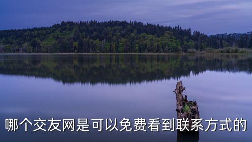 哪個(gè)交友網(wǎng)是可以免費(fèi)看到聯(lián)系方式的