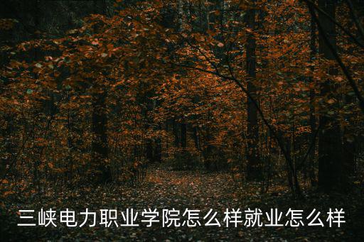 三峽電力職業學院怎么樣就業怎么樣