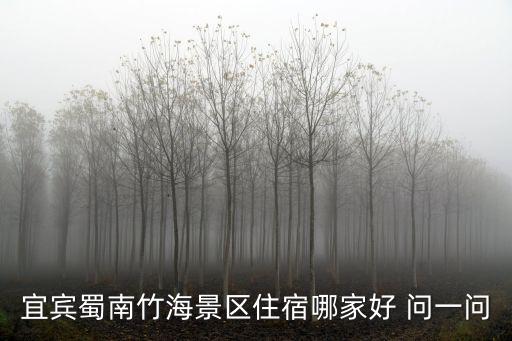 宜賓蜀南竹海景區住宿哪家好 問一問