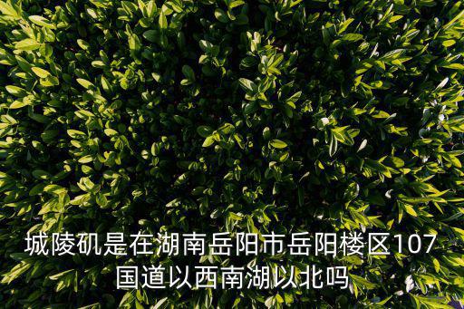 城陵磯是在湖南岳陽市岳陽樓區107國道以西南湖以北嗎