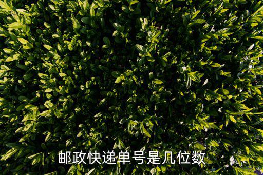 郵政快遞單號是幾位數(shù)