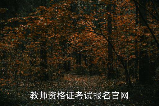 教師資格證考試報名官網