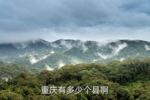 重慶有多少個縣啊