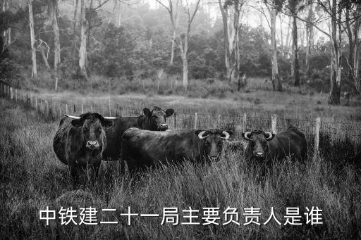 中鐵建二十一局主要負責人是誰