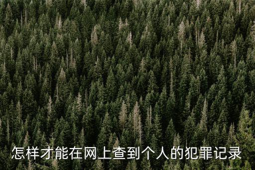 怎樣才能在網上查到個人的犯罪記錄