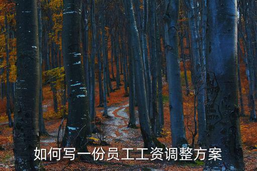 如何寫一份員工工資調整方案