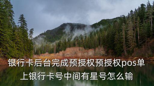 銀行卡后臺完成預授權預授權pos單上銀行卡號中間有星號怎么輸