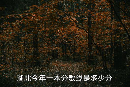 湖北今年一本分數線是多少分